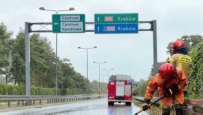 Skutki ulew: Drzewo spadło na auto, ewakuowano obóz