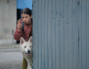 Zobacz trailer: O psie, który jeździł koleją