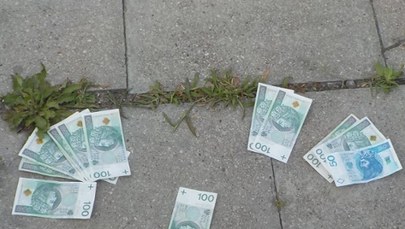Pieniądze rozsypane na chodniku. Zbierali je przechodnie