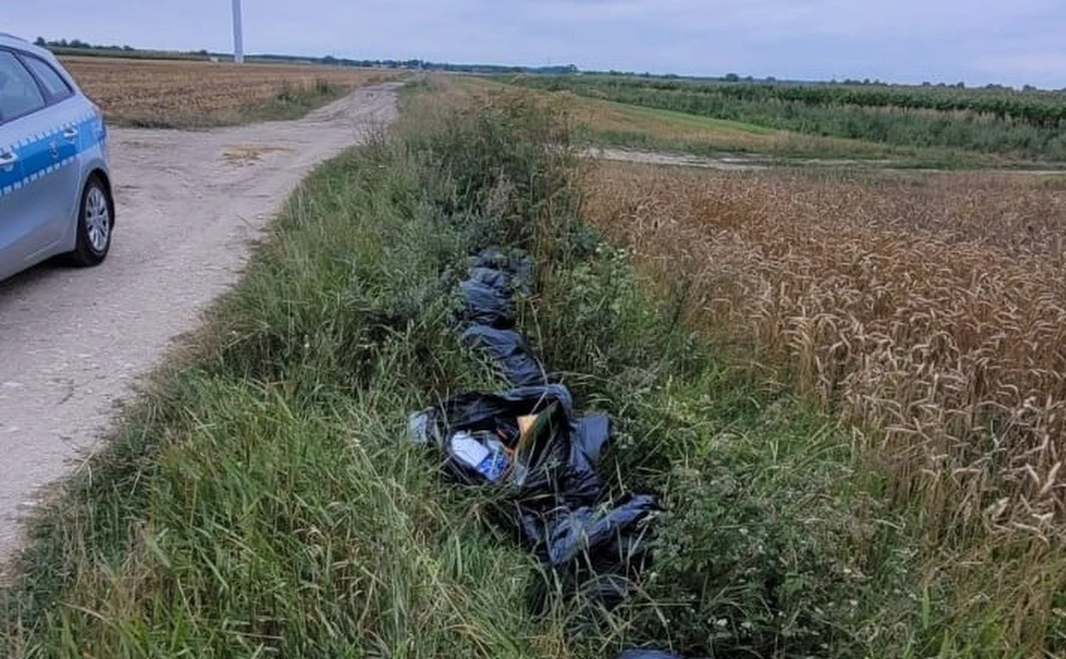 41-letni mieszkaniec Szadku w województwie łódzkim postanowił pozbyć się śmieci wyrzucając je do przydrożnego rowu. Być może udałoby mu się uniknąć odpowiedzialności, gdyby nie pozostawiony w jednym z worków... sprawdzian szkolny.