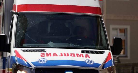 Do nieszczęśliwego wypadku doszło w Katowicach. Pies odgryzł dwa palce dwuletniemu chłopcu. Jak dowiedziała się reporterka RMF FM, zwierzę miało wymagane szczepienia. Było też odpowiednio zabezpieczone. 