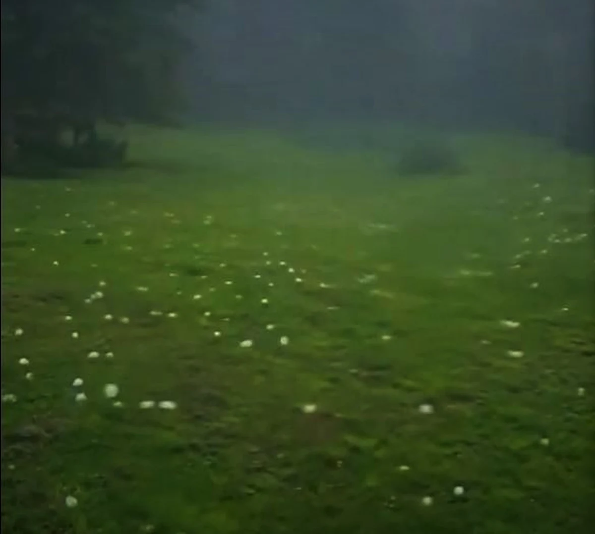 W Estonii w poniedziałek władze  ostrzegły  przed "wyjątkowo  niebezpiecznymi" burzami. Służby  zaapelowały o zabezpieczenie w domach zapasów wody i jedzenia; na zachodzie kraju spadł grad wielkości piłek do golfa - podała telewizja ERR.