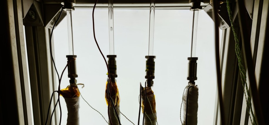 /Politechnika Wrocławska /Internet