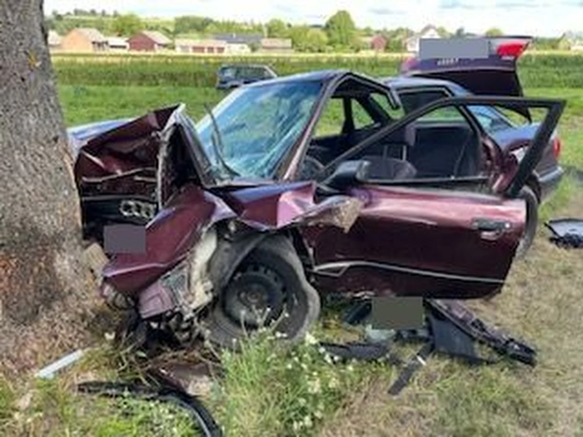 Kierowca osobowego audi zginął w wypadku, do którego doszło we wtorek na drodze w powiecie biłgorajskim. Mężczyzna uderzył w przydrożne drzewo – podała lubelska policja.