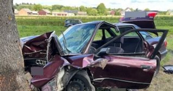 Kierowca osobowego audi zginął w wypadku, do którego doszło we wtorek na drodze w powiecie biłgorajskim. Mężczyzna uderzył w przydrożne drzewo – podała lubelska policja.
