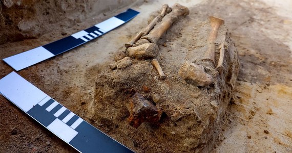 Szczątki dziecka pochowanego twarzą do dołu, z "antywampiryczną" trójkątną kłódką pod stopą odkryli w Pniu (woj. kujawsko-pomorskie) naukowcy z Instytutu Archeologii Uniwersytetu Mikołaja Kopernika w Toruniu. XVII-wieczny pochówek znajduje się ok. 1,5 metra od odkrytego w zeszłym roku grobu "wampirki z Pnia" – kobiety pochowanej z sierpem na szyi i kłódką zamkniętą na palcu stopy. 