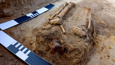 Upiorny pochówek dziecka odkryty na XVII-wiecznym cmentarzysku