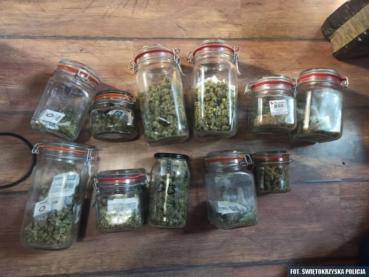 Ponad 2 kilogramy marihuany, 10 sztuk konopi oraz 8 litrów wywaru z konopi ukrył w słoikach 44-letni mieszkaniec Starachowic w Świętokrzyskiem. Mężczyzna został tymczasowo aresztowany.