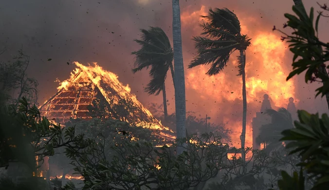 Pożary na wyspie Maui. Co najmniej 14 Polaków próbuje wrócić do domu