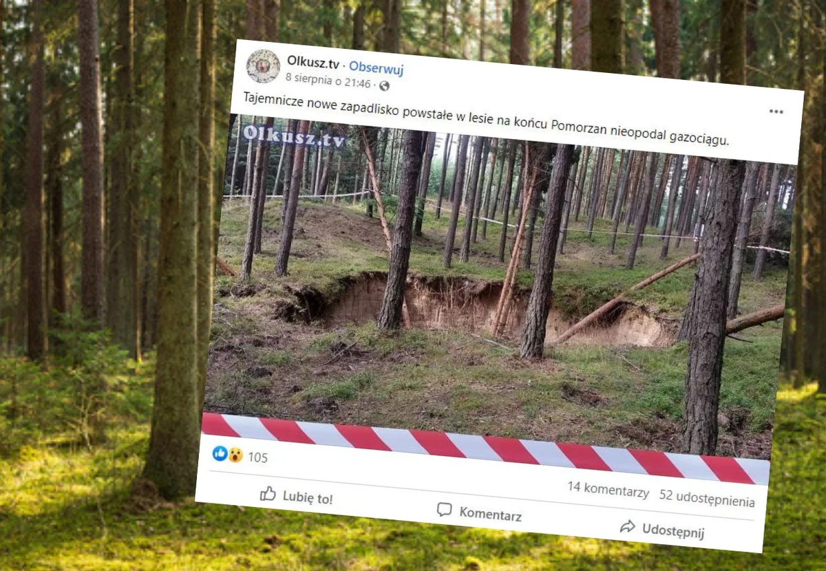 Potężne zapadlisko na terenie Nadleśnictwa Olkusz. Tym razem ziemia zapadła się w pobliżu gazociągu. Jak zapewniły Zakłady Górniczo-Hutnicze "Bolesław", które prowadziły tam eksploatację, nie stwarza ono zagrożenia dla tej instalacji.