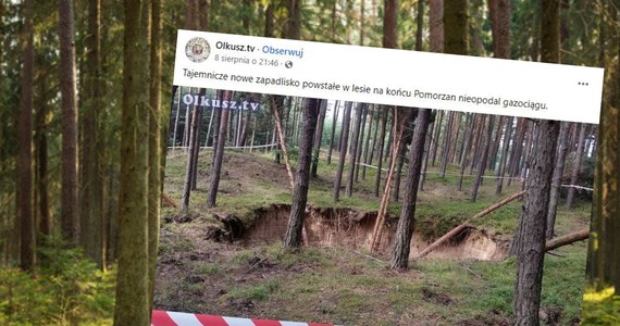 Potężne zapadlisko na terenie Nadleśnictwa Olkusz. Tym razem ziemia zapadła się w pobliżu gazociągu. Jak zapewniły Zakłady Górniczo-Hutnicze "Bolesław", które prowadziły tam eksploatację, nie stwarza ono zagrożenia dla tej instalacji.