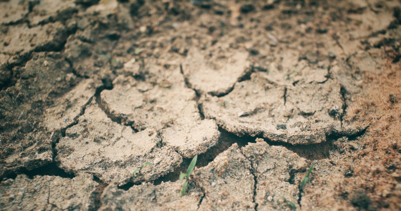 Coraz częściej będziemy o niej słyszeć. Niżówka hydrogeologiczna w kraju