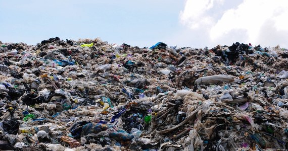 Komisja Europejska nakazała Niemcom złożenie wyjaśnień w odpowiedzi na polską skargę dotyczącą nielegalnie składowanych śmieci w naszym kraju. Poinformowała o tym minister klimatu i środowiska Anna Moskwa.