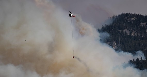Według opublikowanych w piątek  rządowych prognoz rekordowe pożary lasów w Kanadzie mogą potencjalnie rozszerzać się jeszcze przez kilka tygodni, we wrześniu ich intensywność zacznie się zmniejszać . Palące się kanadyjskie lasy odpowiadają za 25 proc. wzrost emisji dwutlenku węgla na świecie w bieżącym roku.