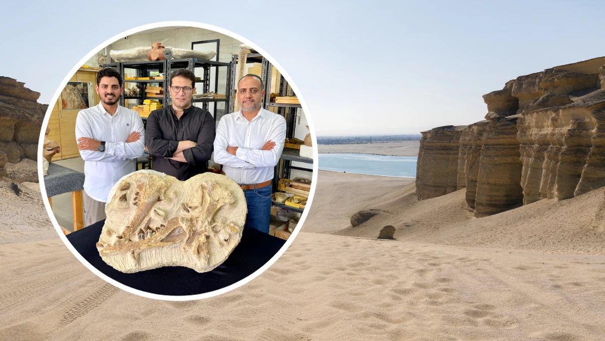 Paleontolodzy z Egiptu dokonali niezwykłego odkrycia wymarłego gatunku wieloryba. Jak poinformowano, żył on 41 mln lat temu. Rozpoznano u niego szczątkowe dolne kończyny. 