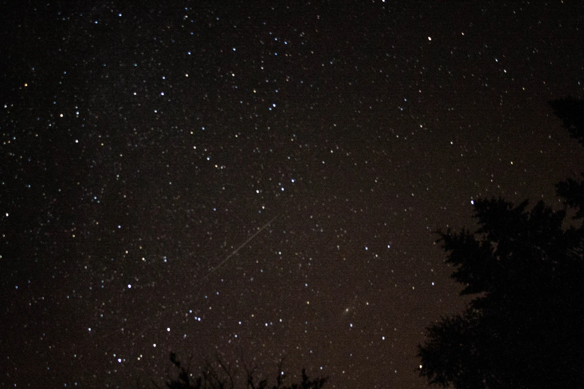 W nocy z 12 na 13 sierpnia będzie można zobaczyć kumulację Perseidów – meteorów, nazywanych potocznie spadającymi gwiazdami. Najlepiej deszcz spadających gwiazd oglądać na zielonym terenie nad Bulwarami - pomiędzy Centrum Nauki Kopernik (CNK) a Pracownią Przewrotu Kopernikańskiego.