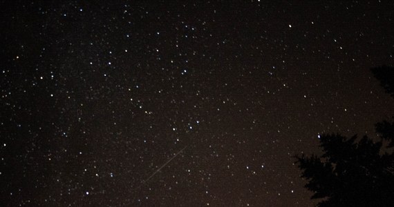 W nocy z 12 na 13 sierpnia będzie można zobaczyć kumulację Perseidów – meteorów, nazywanych potocznie spadającymi gwiazdami. Najlepiej deszcz spadających gwiazd oglądać na zielonym terenie nad Bulwarami - pomiędzy Centrum Nauki Kopernik (CNK) a Pracownią Przewrotu Kopernikańskiego.