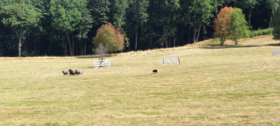 /Tomasz Kądzioła /Archiwum prywatne