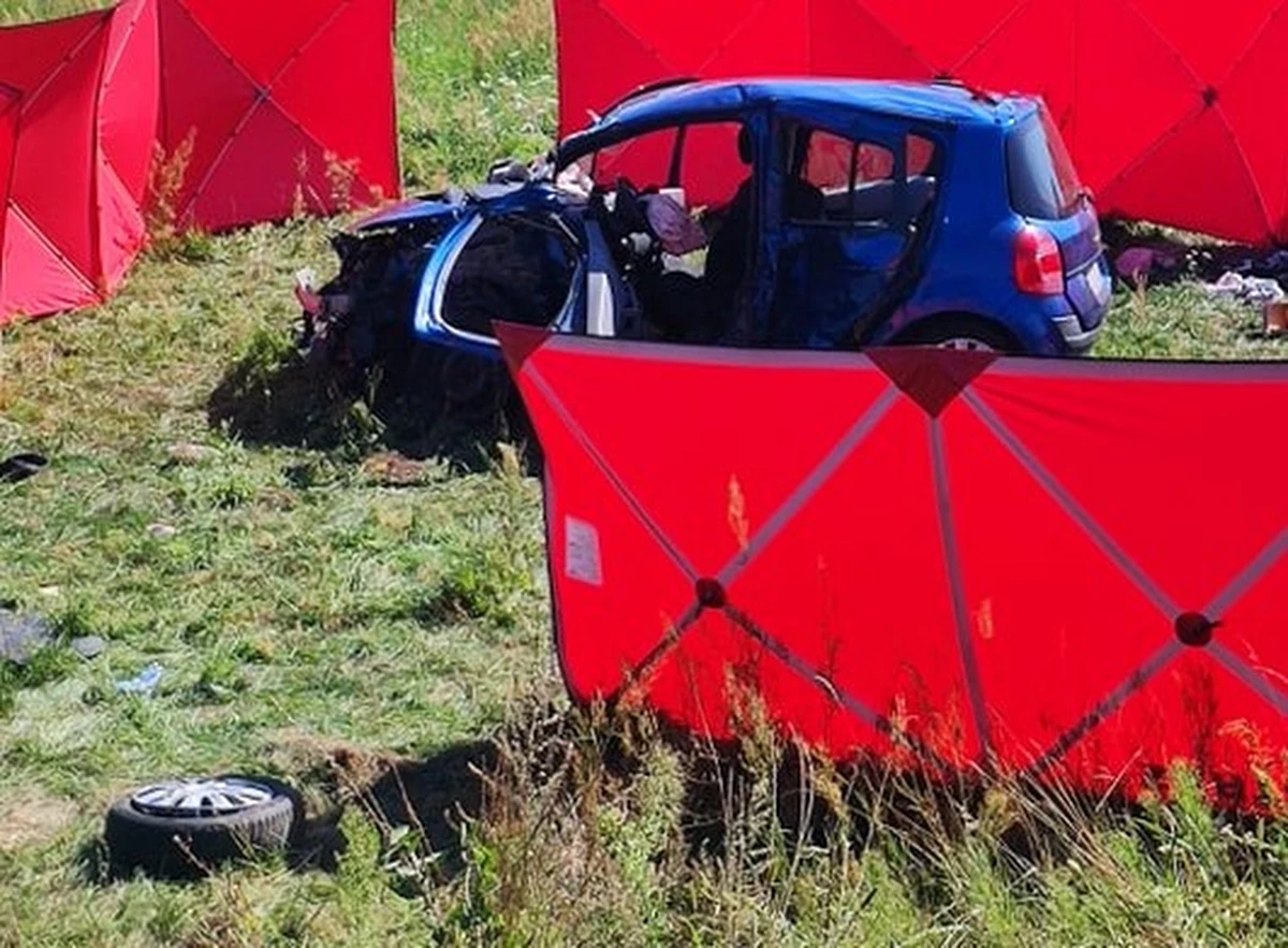 Policja z Bełchatowa (woj. łódzkie) wyjaśnia okoliczności śmiertelnego wypadku na DK74, w którym zginęły dwie osoby: 47-latek i 17-latka jadący renault. Podróżujące z nimi dziecko zostało ranne - podał w niedzielę sierż. Mateusz Piliński z biura prasowego KWP w Łodzi.