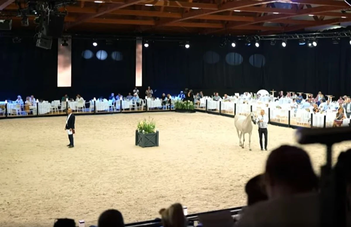 Klacz Evett Magic należąca do prywatnego właściciela została uznana w niedzielę za najlepszego konia 45. Narodowego Pokazu Koni Arabskich Czystej Krwi w Janowie Podlaskim (Lubelskie). Podczas imprezy zaprezentowano blisko 120 koni.