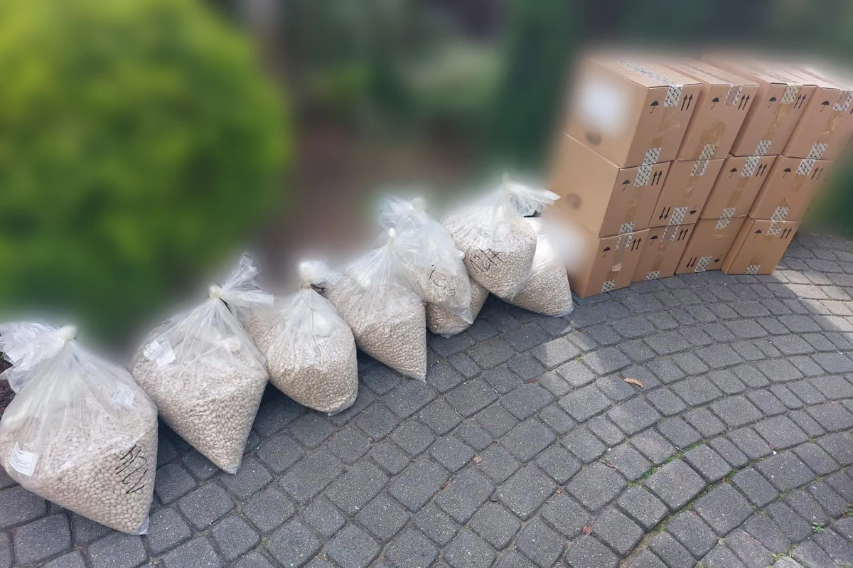 Policjanci Centralnego Biura Śledczego Policji wspólnie z funkcjonariuszami Krajowej Administracji Skarbowej rozbili grupę, która produkowała nielegalne leki na potencję. Podczas akcji funkcjonariusze zatrzymali cztery osoby i przejęli ponad 800 tys. szt. tabletek. Leki były warte około 32 mln zł.