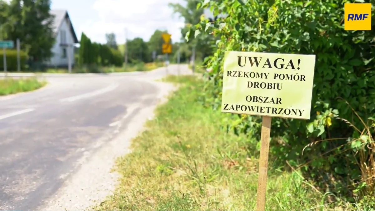 Decyzja wojewody podlaskiego wszystkie kury i indyki z regionu zostaną zaszczepione przeciwko rzekomemu pomorowi drobiu. Chorobę wykryto w kilku gospodarstwach między 11 a 21 lipca. O szczepienia apeluje też Podlaski Wojewódzki Lekarz Weterynarii Andrzej Czerniawski.