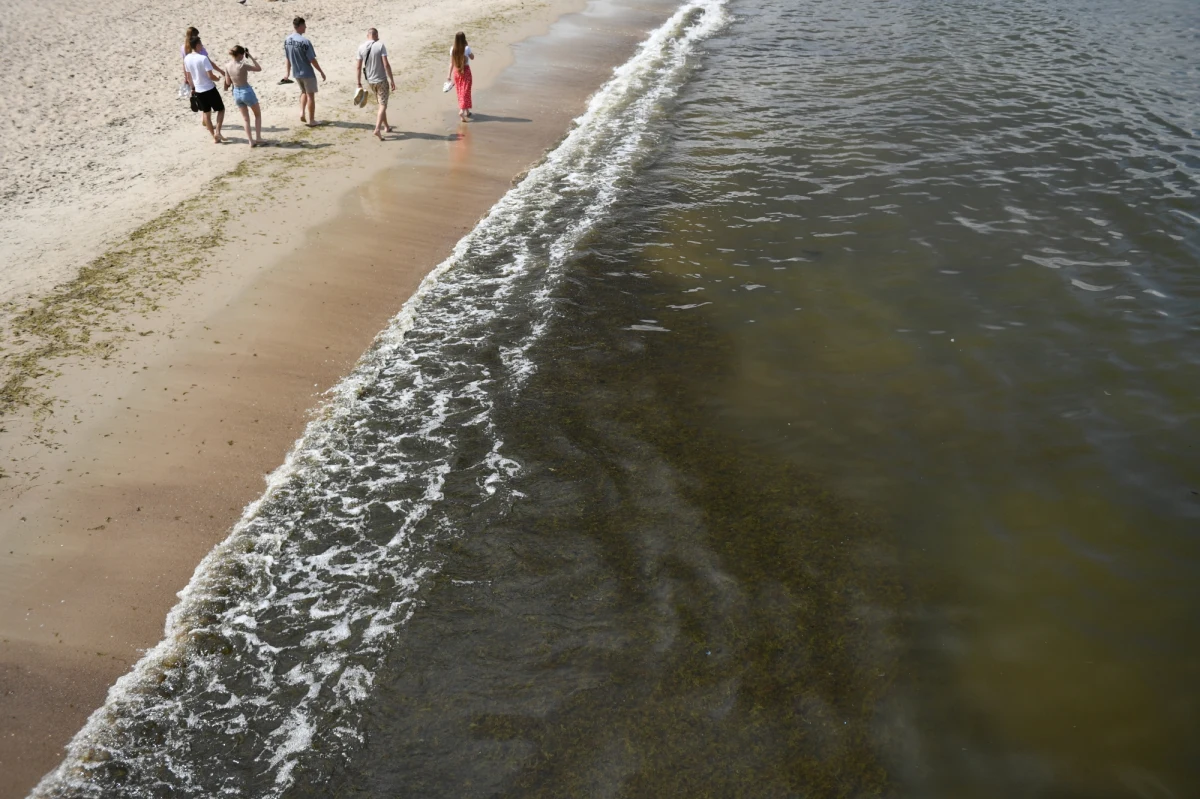W południe zamknięto trzy pomorskie kąpieliska: w powiatach kartuskim, chojnickim i słupskim. W pozostałych kąpieliskach w tym regionie nie stwierdzono zakwitu sinic.