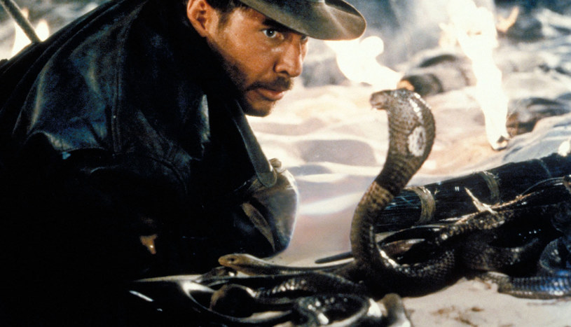 "Węże. Dlaczego to muszą być węże?" - mówi w filmie "Poszukiwacze zaginionej arki" grany przez Harrisona Forda Indiana Jones. Odkryty w Andach nowy gatunek węża otrzymał nazwę na cześć hollywoodzkiego gwiazdora.
