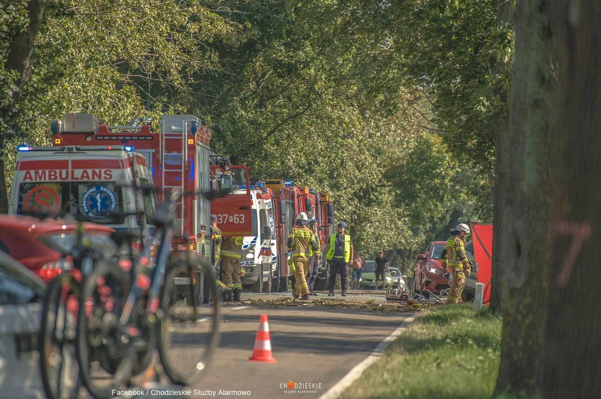 ​Dwie kobiety w wieku 58 i 86 lat - matka i córka - zginęły w wypadku na drodze wojewódzkiej 190 między miejscowościami Pawłowo Żońskie i Oporzyn w Wielkopolsce. Do szpitala zabrano 57-letniego mężczyznę.