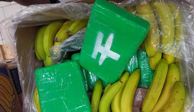 Niezwykłe znalezisko w bananach. 640 kilogramów w czeskim markecie