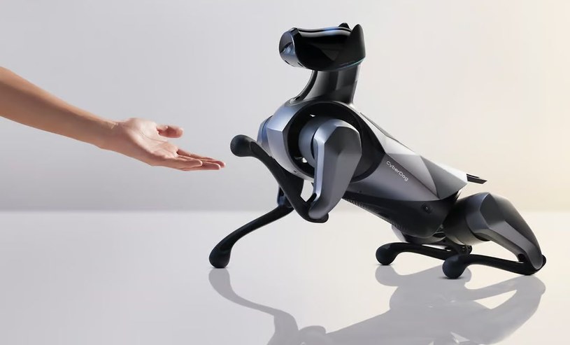 Chiński gigant zaprezentował drugą generację swojego robo-psa. CyberDog 2 wygląda znacznie "sympatyczniej" niż jego rynkowi rywale i reklamowany jest jako towarzysz rodziny, który może zastąpić żywe zwierzę. 