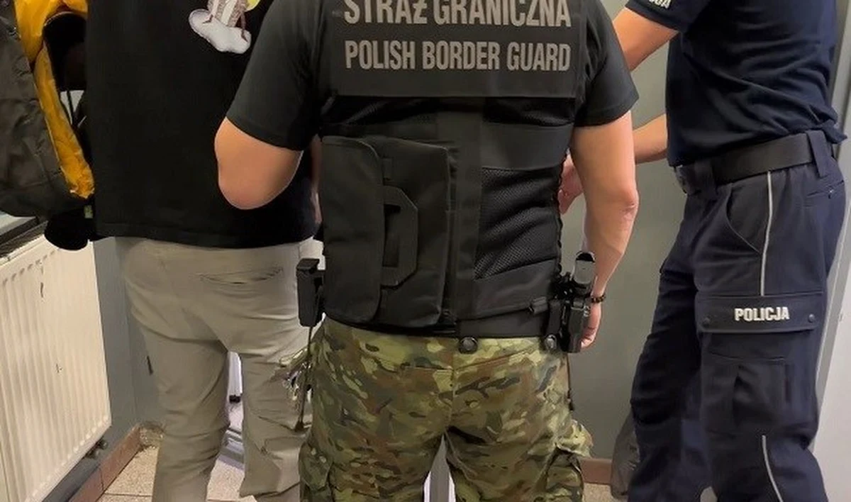 Legniccy policjanci zatrzymali kierującego oplem obywatela Litwy, który miał prawie promil alkoholu w wydychanym powietrzu i nie posiadał uprawnień do kierowania pojazdami. Pasażerami pojazdu byli obywatele Bangladeszu i Pakistanu, którzy nielegalnie przekroczyli granicę Polski.