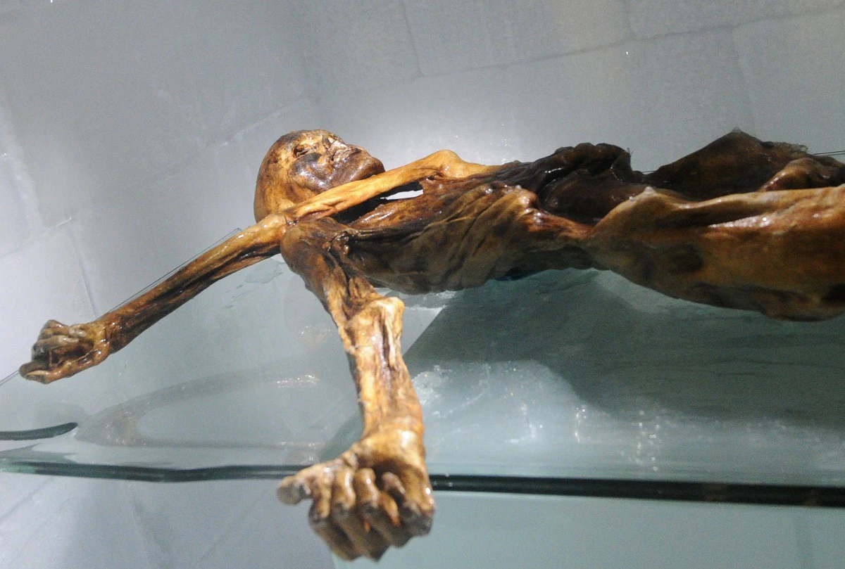 Nowe badania genetyczne "Ötziego", zrobione przez naukowców słynnego niemieckiego instytutu Plancka, wskazują na to, że miał on anatolijskich przodków, po których odziedziczył ciemną karnację. "Człowiek lodu" zaczynał już łysieć, miał predyspozycje do cukrzycy i niedowagę. 