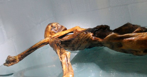 Nowe badania genetyczne "Ötziego", zrobione przez naukowców słynnego niemieckiego instytutu Plancka, wskazują na to, że miał on anatolijskich przodków, po których odziedziczył ciemną karnację. "Człowiek lodu" zaczynał już łysieć, miał predyspozycje do cukrzycy i niedowagę. 