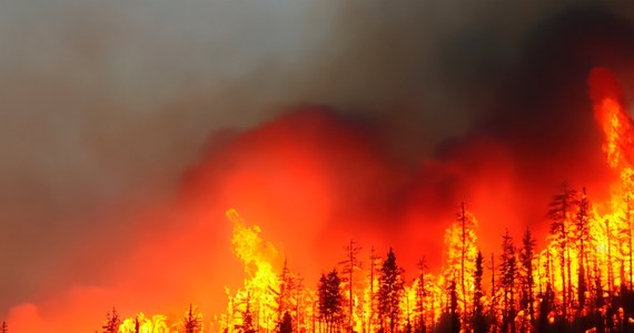 ​Ponad 150 osób ewakuowały władze Wysp Kanaryjskich w środę wieczorem w związku z groźnym pożarem lasów w środkowo-północnej części Teneryfy, w gminach Arafo i Candelaria.