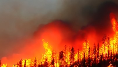 Lasy Teneryfy w ogniu. Konieczna ewakuacja ludności