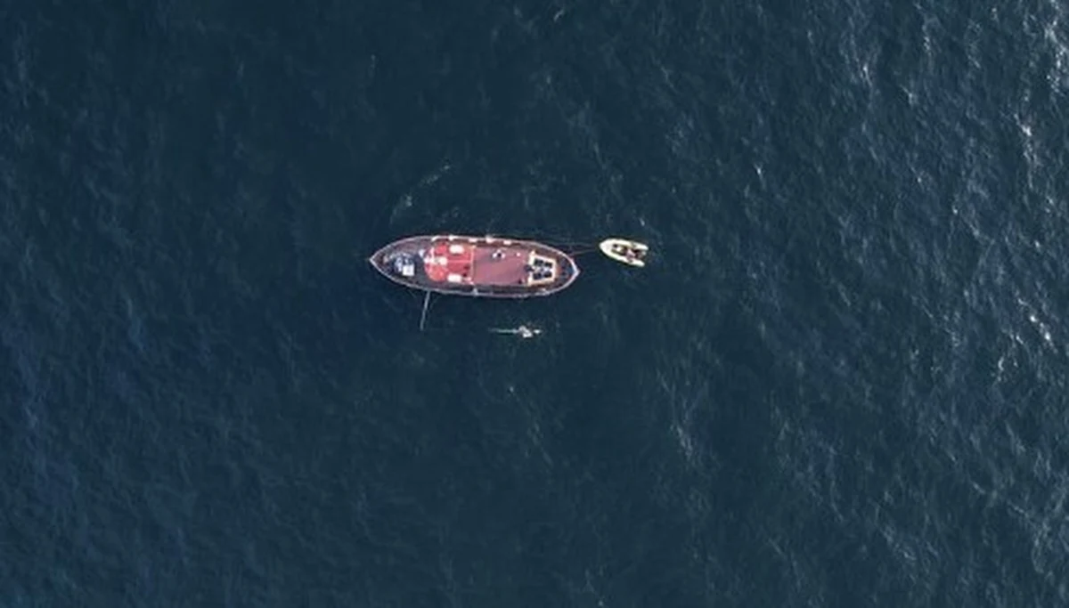 ​Ponad 110 kilometrów przepłynął już Bartłomiej Kubkowski. Od prawie 40 godzin próbuje przepłynąć Bałtyk ze Szwecji do Polski. Jeśli mu się uda, będzie pierwszym człowiekiem, który dokonał takiego wyczynu. 