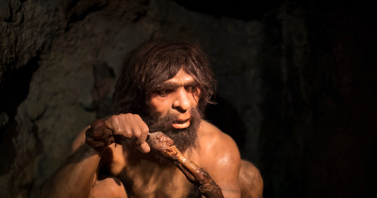Biznes na wagę życia. Neandertalczycy prowadzili "fabryki tłuszczu"