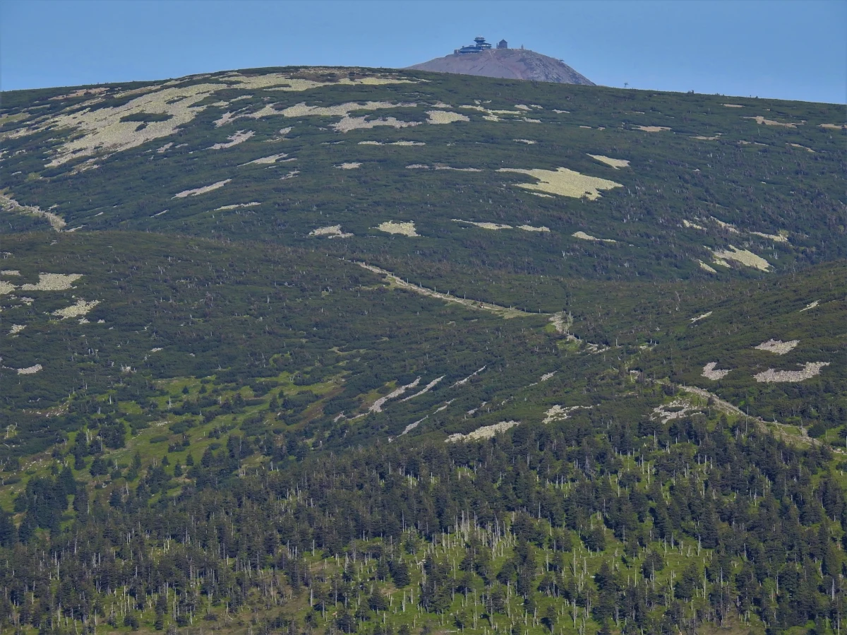 Karkonoski Park Narodowy ruszył z kampanią społeczną "Głowa do Góry!". Chodzi w niej głównie o podkreślenie wyjątkowości Karkonoszy. Ich wartości przyrodniczej i krajobrazowej. Kampania jest też apelem o szacunek oraz dbałość o piękno przyrody.