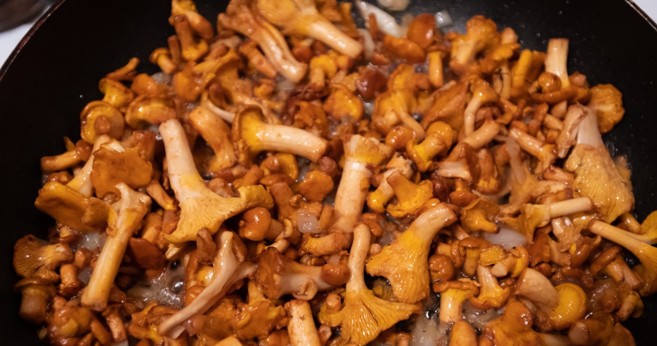 Tych grzybów nie należy smażyć i solić. Tracą adekwatności zdrowotne