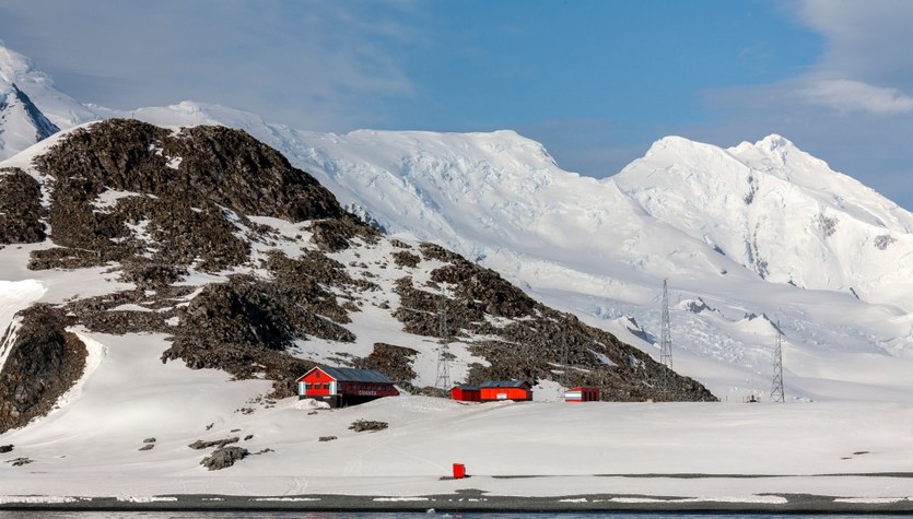 ¡Una comunidad aislada en la Antártida ha desarrollado algo sorprendente!