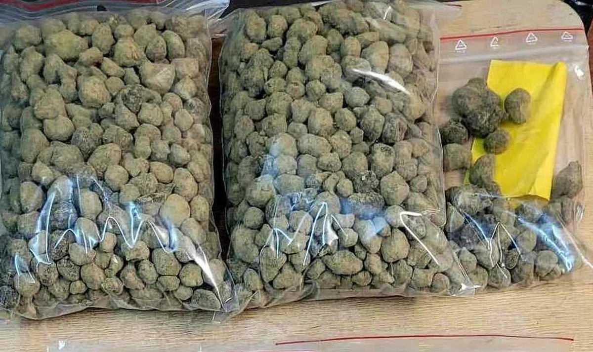 Ponad 2 kg marihuany ukryli nastolatkowie w pudełku po butach, wiadrze i zegarze. Sprawcy wpadli podczas kontroli drogowej w Kraśniku – podała lubelska policja. Wartość narkotyków szacowana jest na ponad 100 tys. zł.