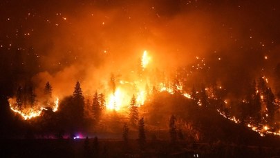 Pożary trawią Kanadę. Władze wprowadziły stan wyjątkowy