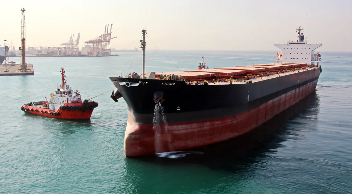 Amerykanie ostrzegają turecki rząd przed "realnym ryzykiem" nałożenia ograniczeń na tureckie firmy pomagające Rosji obchodzić ​sankcje. O sprawie pisze amerykański dziennik "Wall Street Journal", który powołuje się na informacje zachodnich urzędników.