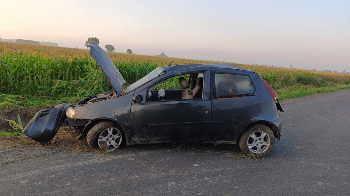 Policja pod nadzorem prokuratury ustala przyczyny śmiertelnego wypadku, do którego doszło dziś w nocy między Kosmowem a Gębarzewem w Wielkopolsce. Nie żyje 32-letni kierowca.