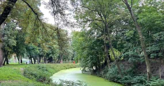 Zwłoki ok. 60-letniej kobiety zostały znalezione w sobotę w fosie w parku w Tuliszkowie (woj. wielkopolskie). Okoliczności śmierci kobiety są wyjaśniane.

