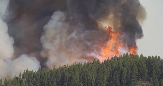 Władze Wysp Kanaryjskich oszacowały, że od wtorku w środkowej i północnej części Teneryfy spłonęło już prawie 8,5 tys. hektarów lasów. Z powodu zagrożenia pożarowego służby ewakuowały już ponad 26 tys. osób.