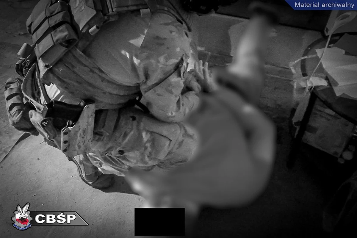 Policjanci CBŚP zatrzymali 20 osób w śledztwie prowadzonym wspólnie z dolnośląskim wydziałem Prokuratury Krajowej ws. oszustw na klientach klubów go-go. Wśród zatrzymanych są kelnerki i tancerki, a także szefowe lokali. 