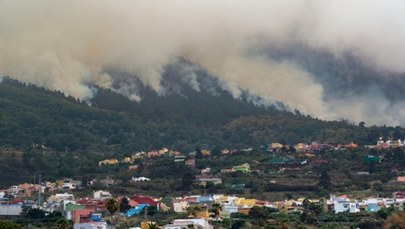 Pożar na Teneryfie: Spłonęła już ponad połowa obszaru leśnego wyspy