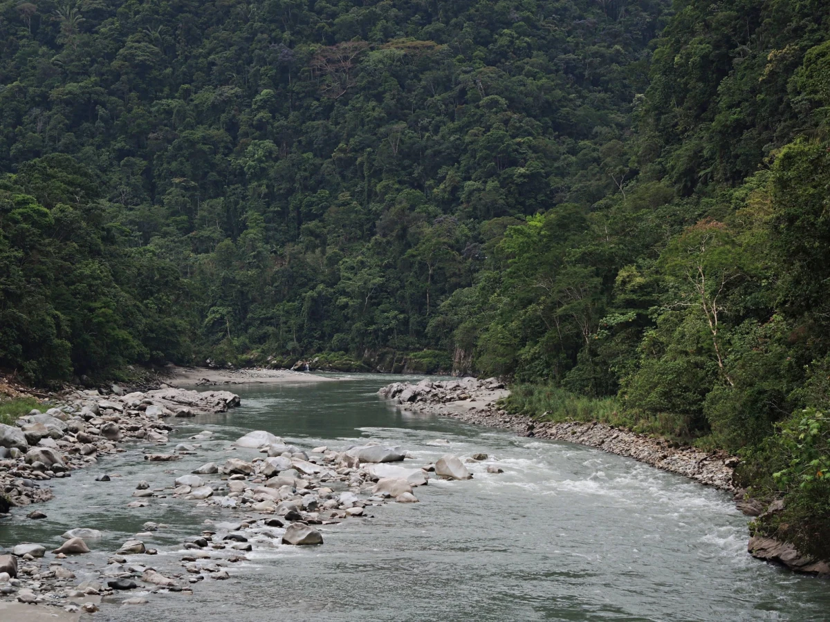 Obywatele Ekwadoru zagłosowali w niedzielnym referendum za wstrzymaniem wydobycia ropy w Parku Narodowym Yasuni, jednej z najbardziej zróżnicowanych biosfer na świecie. Głos "za" oddało 59 procent głosujących - poinformowała agencja Reutera.